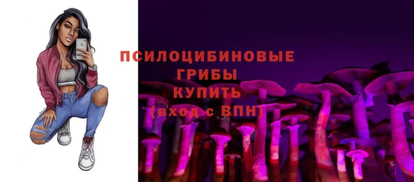 ГАЛЛЮЦИНОГЕННЫЕ ГРИБЫ Абдулино
