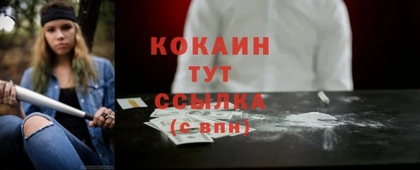 трава Няндома