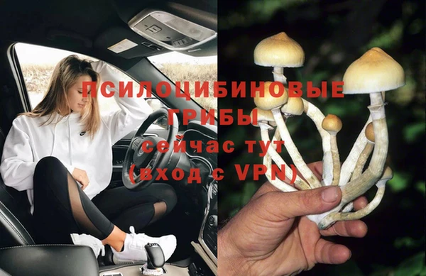 прущая мука Абаза