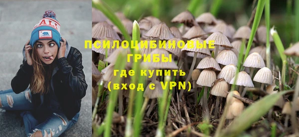 прущая мука Абаза