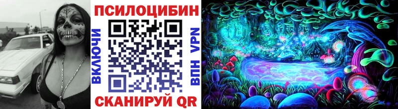 Псилоцибиновые грибы Cubensis  Алдан 